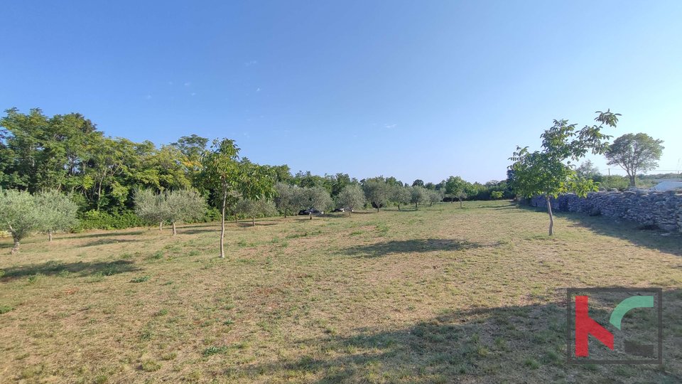 Istra, Filipana, Građevinsko zemljište 1191m2 - mirna lokacija, #prodaja