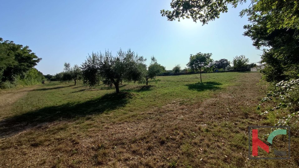 Istra, Filipana, Zazidljivo zemljišče 1191m2 - mirna lokacija, #prodaja