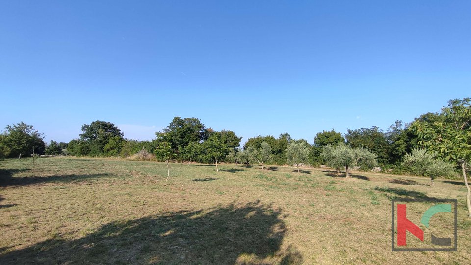 Istra, Filipana, Zazidljivo zemljišče 1191m2 - mirna lokacija, #prodaja