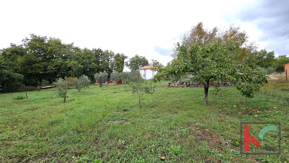 Истрия, Пореч, дом с большим садом 2324м2, #продажа