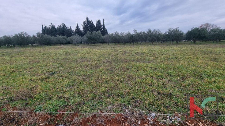 Istra, Loborika, lastno zazidljivo zemljišče 650m2, #prodaja