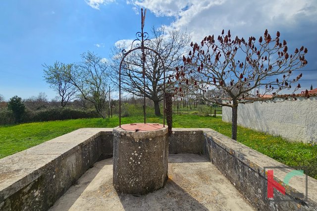 Istria, Barban, old Istrian stone house with barn on a large garden, #sale