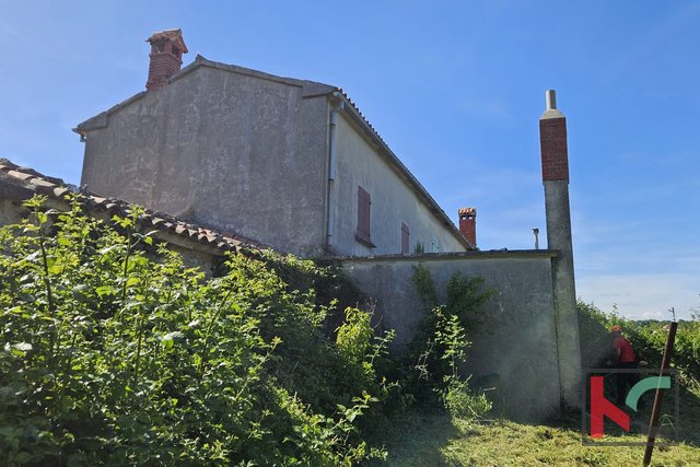 Barban, old house for renovation with a large garden of 1784m2 #sale