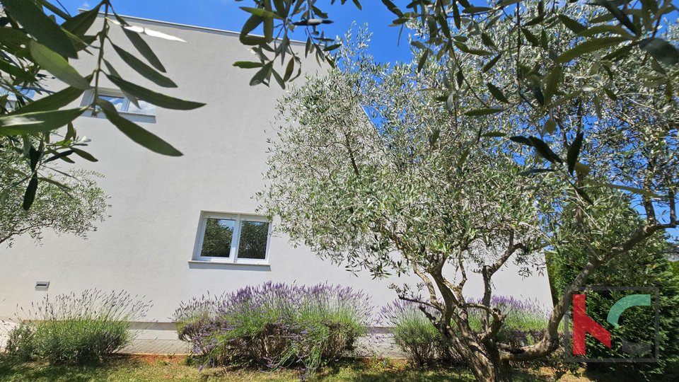 Istria, Žminj, modern villa with indoor and outdoor pool of 350m2 #sale