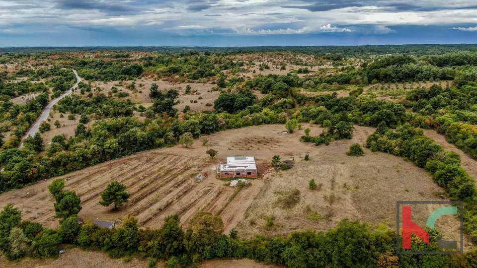 Istrien, Barban, Grundstück mit Rohbau-Haus und Baugenehmigung auf einem Grundstück von 14050m2 #verkaufen