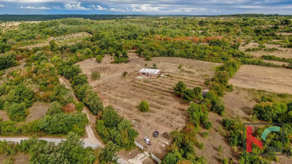 Istra, Barban, posest z rohbau hišo in gradbenim dovoljenjem na zemljišču 14050m2 #prodaja