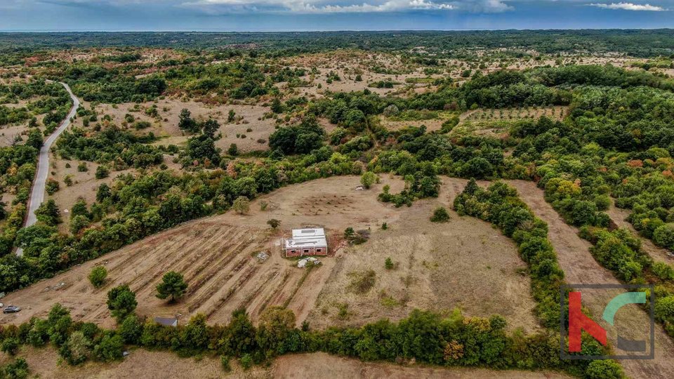 Istrien, Barban, Grundstück mit Rohbau-Haus und Baugenehmigung auf einem Grundstück von 14050m2 #verkaufen