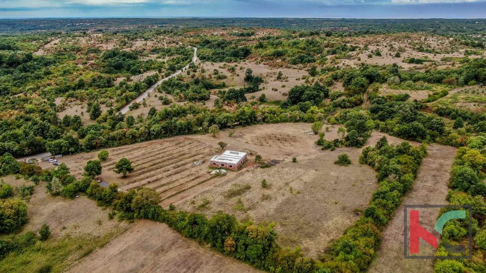 Istra, Barban, imanje sa roh bau kućom i dozvolom za gradnju na zemljištu od 14050m2 #prodaja