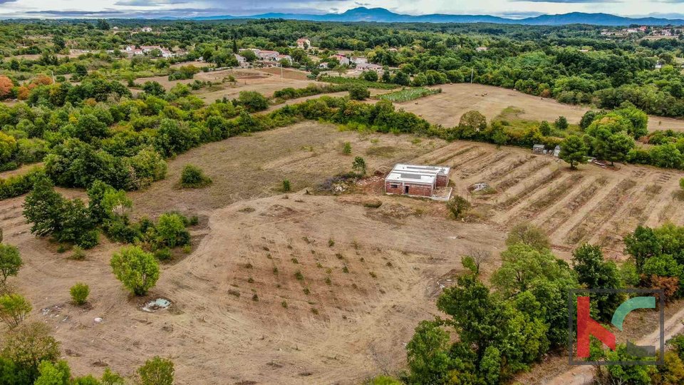 Istra, Barban, imanje sa roh bau kućom i dozvolom za gradnju na zemljištu od 14050m2 #prodaja