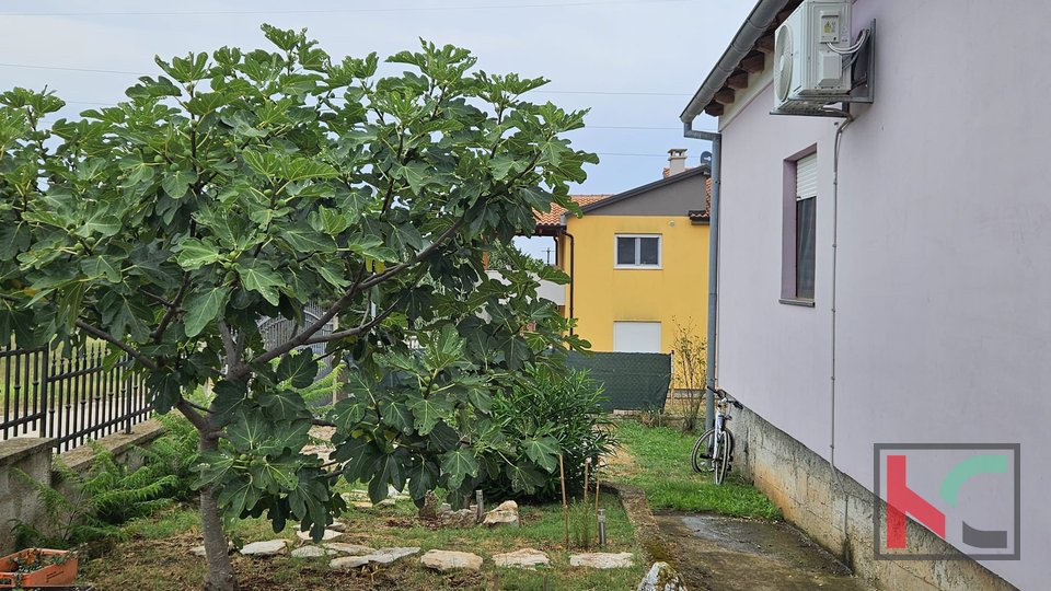 Istra, Volme, samostojeća kuća sa dva stana i velikom okućnicom od 316m2 #prodaja