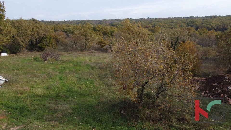 Istria, Vodnjan, building land 1002m2, #for sale