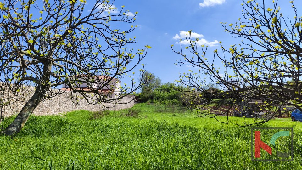 Istra, Barban, zemljište 1329m2, idealno za obiteljsku kuću ili kuću za odmor, #prodaja