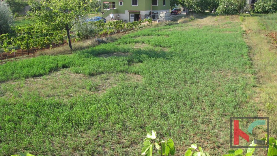 Istra, Barban, zemljište 1329m2, idealno za obiteljsku kuću ili kuću za odmor, #prodaja