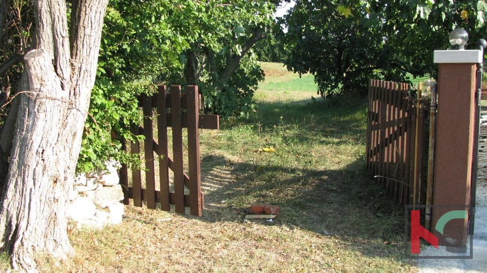 Istra, Barban, zemljište 1329m2, idealno za obiteljsku kuću ili kuću za odmor, #prodaja