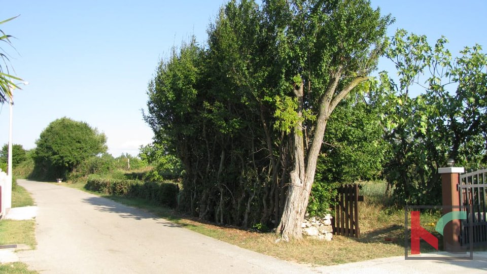 Istra, Barban, zemljište 1329m2, idealno za obiteljsku kuću ili kuću za odmor, #prodaja