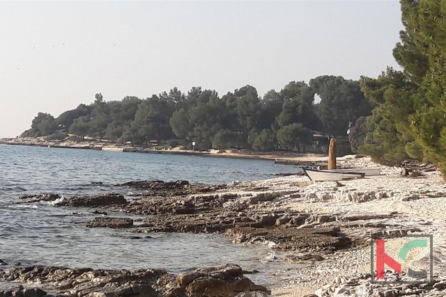 Ровинь, Борик новый дом с тремя квартирами, в 300 метрах от моря