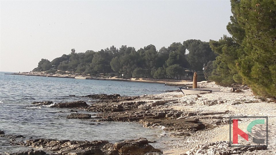 Ровинь, Борик новый дом с тремя квартирами, в 300 метрах от моря