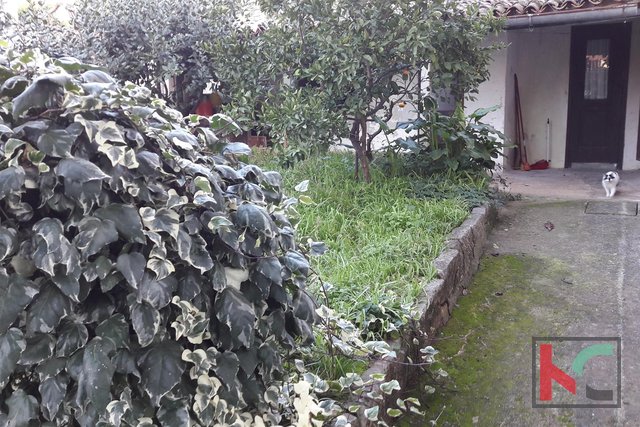 Rovigno, Centro casa con due appartamenti e giardino