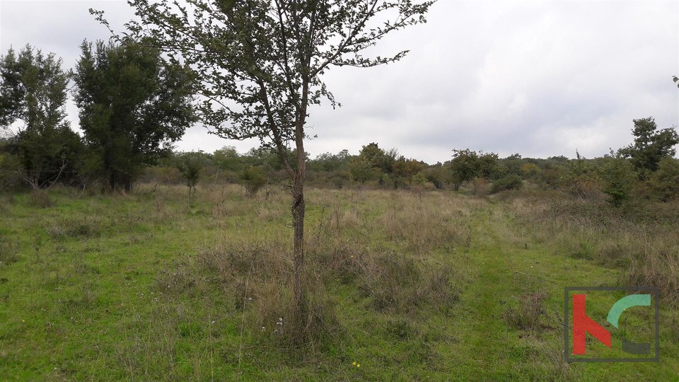 Bale, agricultural property 21297m2 with a plot of 68m2