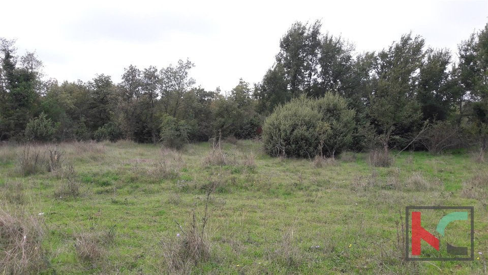 Bale, agricultural property 21297m2 with a plot of 68m2