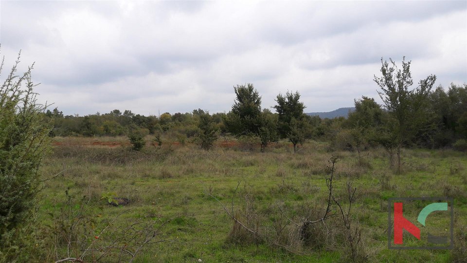 Bale, kmetijska zemljišča 21297m2 z ruševinami 68m2