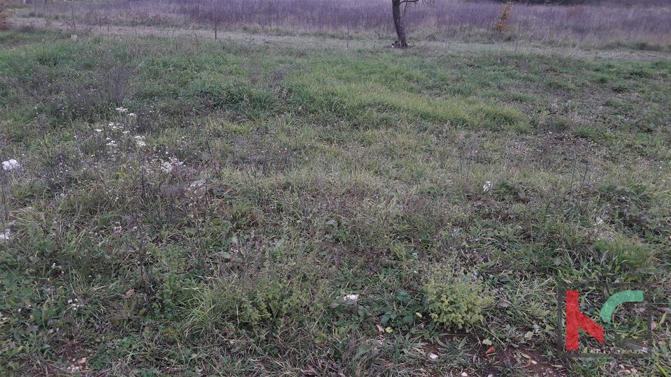 Rovinj, agricultural land 3305m2, with three legalized houses