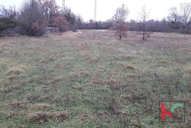 Savičenta, Smoljanci, building plot 4200m2